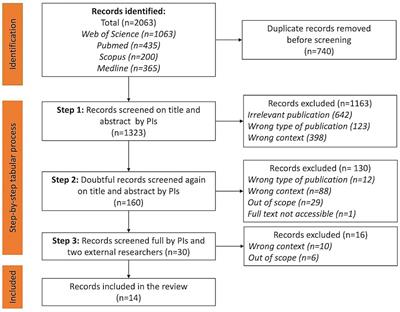 Quality criteria of nature-based interventions in healthcare facilities: a scoping review